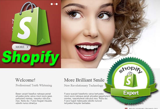 设置 Shopify 商店和 Shopify 网站